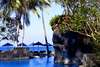 Sheraton Senggigi Beach Resort 